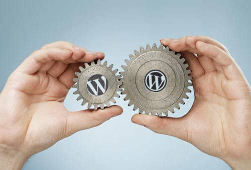 WordPress Custom Themes