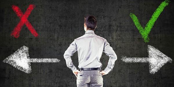 wordpress theme choice