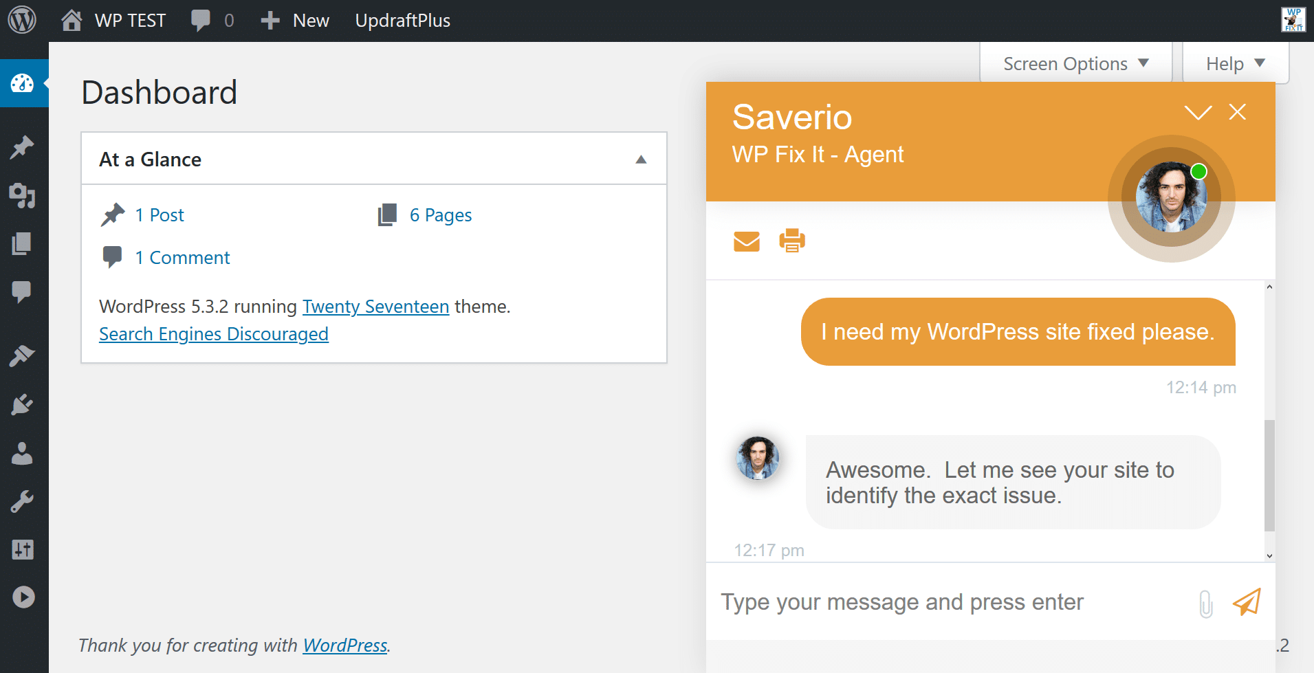 Live WordPress Support